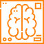 brain (1)